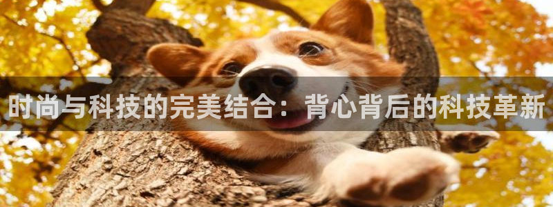 3377体育官网下载:时尚与科技的完美结合:背心背后的科技革