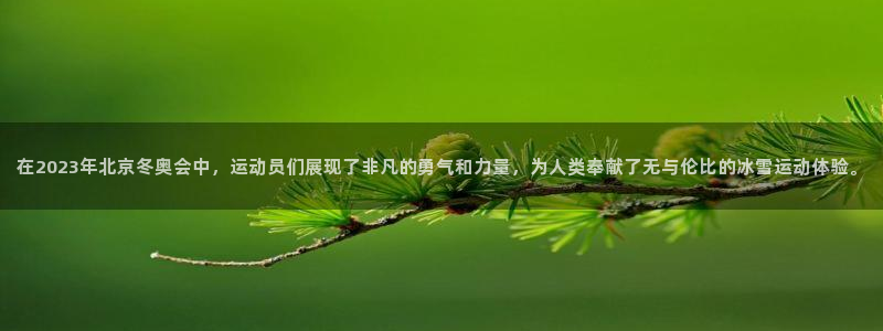 3377体育官方正版app娱乐:在2023年北京冬奥会中,运