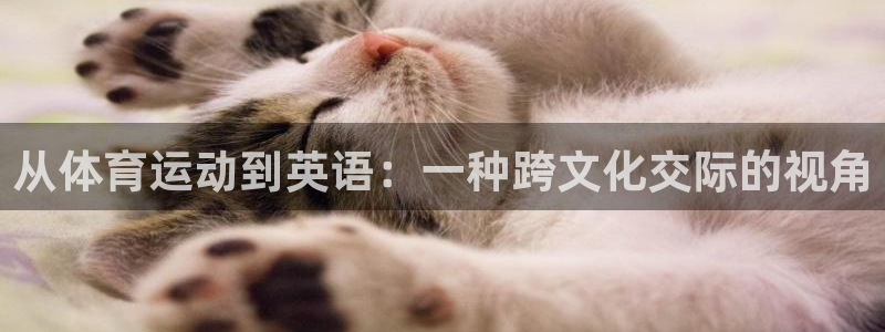 3377体育官网下载软件:从体育运动到英语:一种跨文化交际的
