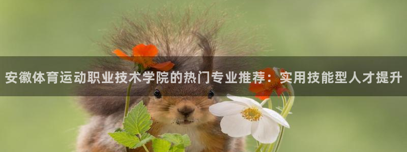 3377体育官网下载招商电话:安徽体育运动职业技术学院的热门