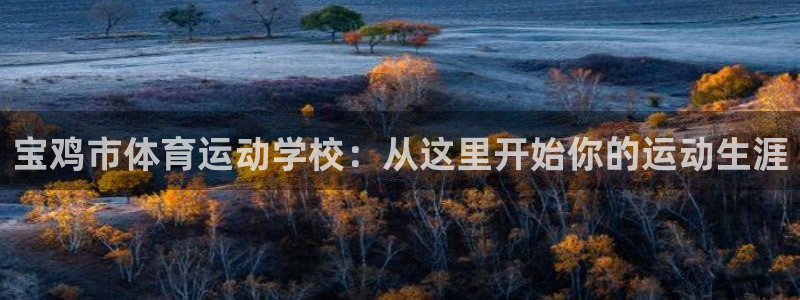 3377体育官网下载平台注册要钱吗安全吗:宝鸡市体育运动学校